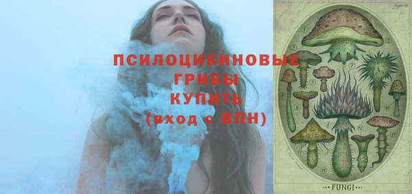 тгк Балахна
