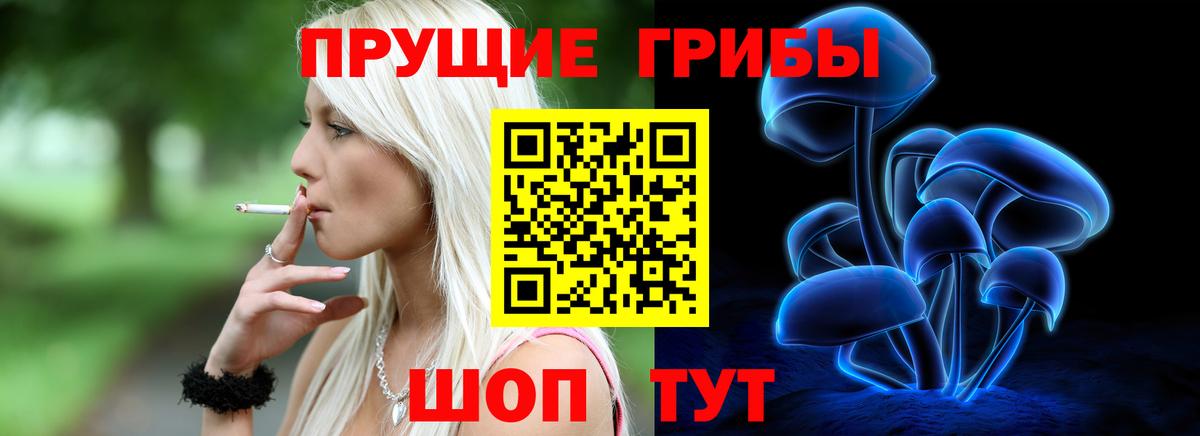 Кировск  Галлюциногенные грибы MAGIC MUSHROOMS  Вход с VPN 